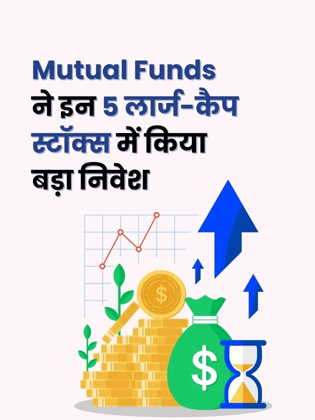 Mutual Funds ने इन 5 लार्ज-कैप स्टॉक्स में किया बड़ा निवेश