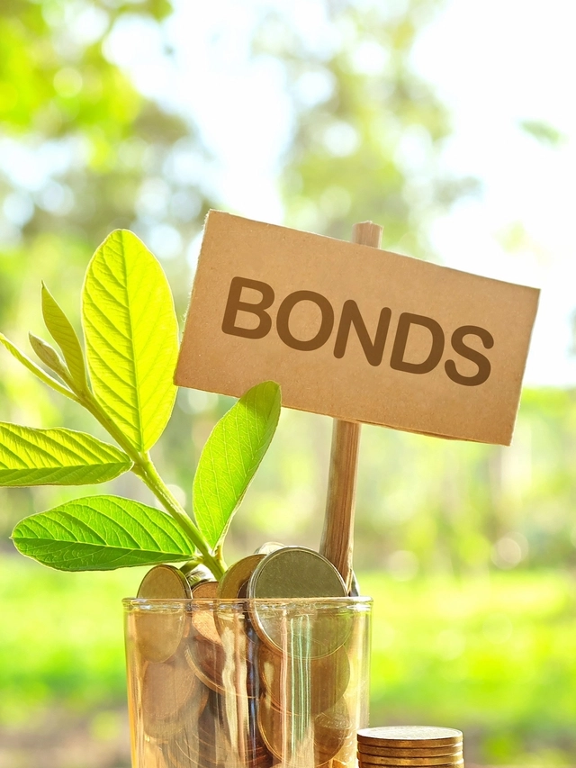 Government Bonds में कैसे करें निवेश?