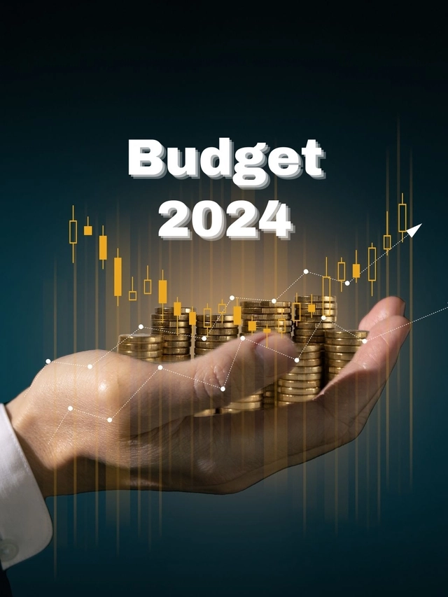 Budget 2024: टैक्स के सेक्शन 80C में कोई बदलाव हुआ है क्या?