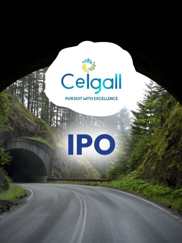 Ceigall India IPO में निवेश करना सही?